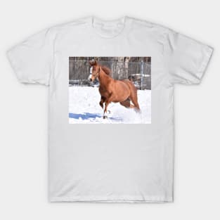 Verrazano filly T-Shirt